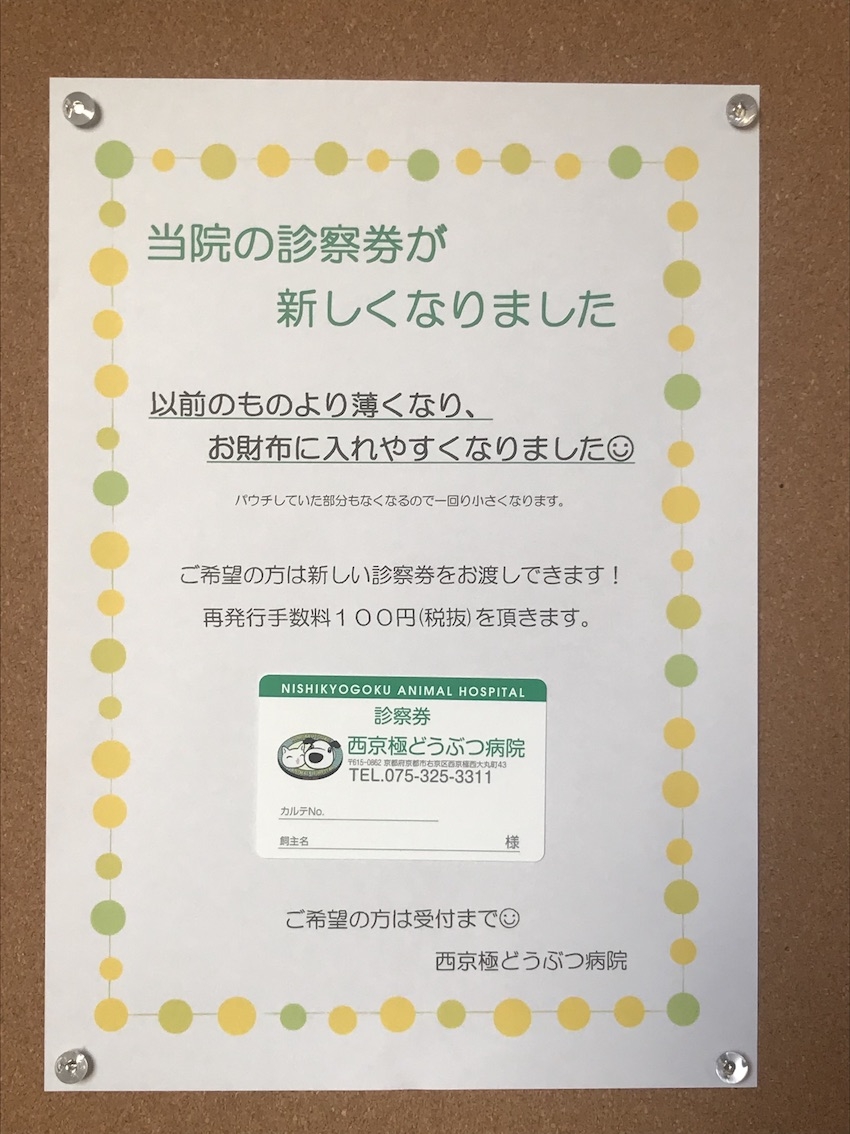 2月の獣医師シフトと新しい診察券。